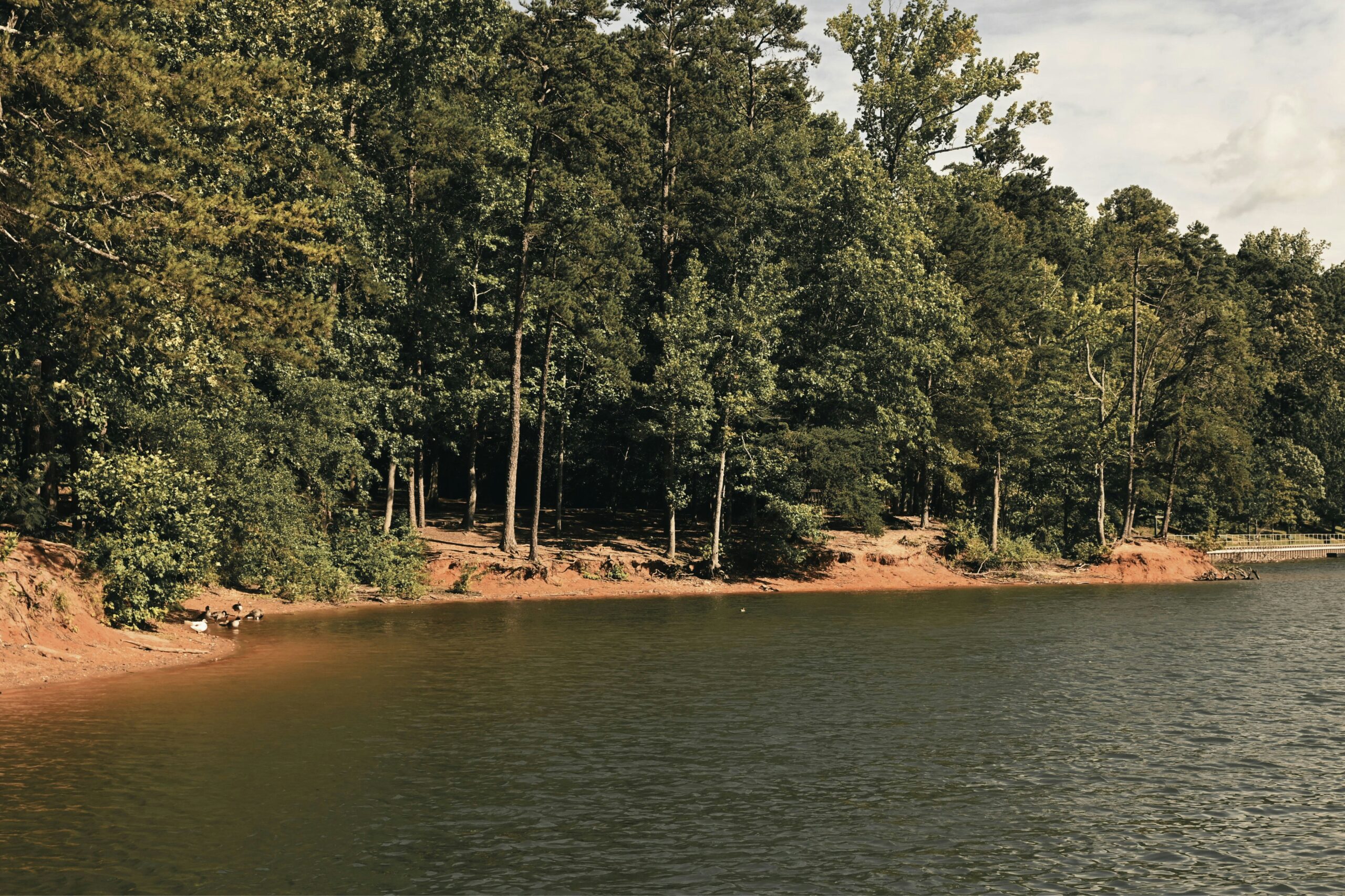 waterfront property value lake view